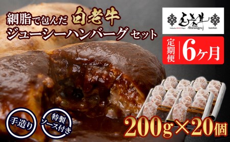 定期便6カ月 お楽しみ 白老牛 ジューシー ハンバーグ セット 20個 BY104