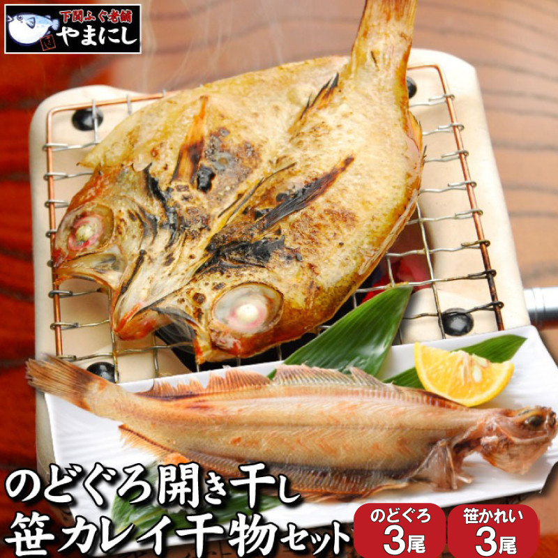 
            のどぐろ 開き 干し 笹カレイ 一夜干し 冷凍 干物 2種 3尾ずつ セット 小サイズ 下関 山口 
          