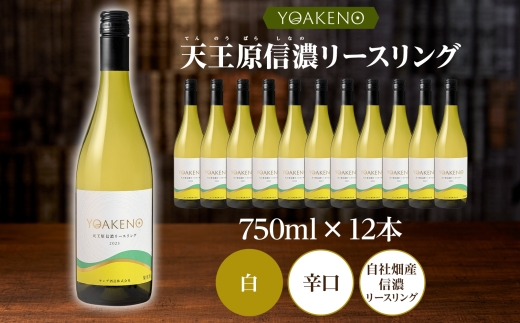 YOAKENO天王原信濃リースリング 750ml×12本177-4-082 |天王原信濃リースリング 白ワイン 12本天王原信濃リースリング 白ワイン 12本天王原信濃リースリング 白ワイン 12本天