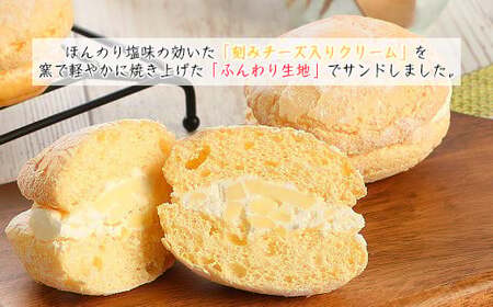 【定期便４カ月】こだわりの窯焼き「チーズブッセ」１０個入とおまかせ菓子５個×４ヵ月連続お届け