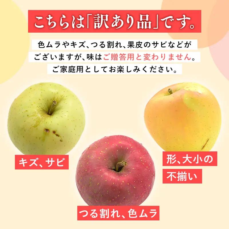 りんご 家庭用  サンふじ 約3kg [hi-0005-028]