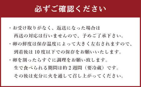 【6ヶ月定期便】ふるさと地たまご計180個（30個×6回）1回あたり5個破損補償含む