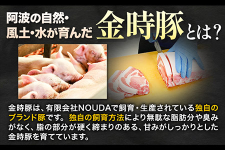金時豚を使ったレトルト4種セット 