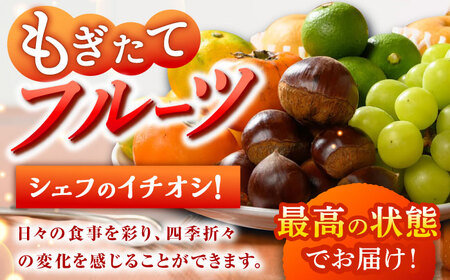 【全3回】【2ヶ月に1回】旬野菜 定期便 （野菜・フルーツ）[AGBX036]定期便 3回