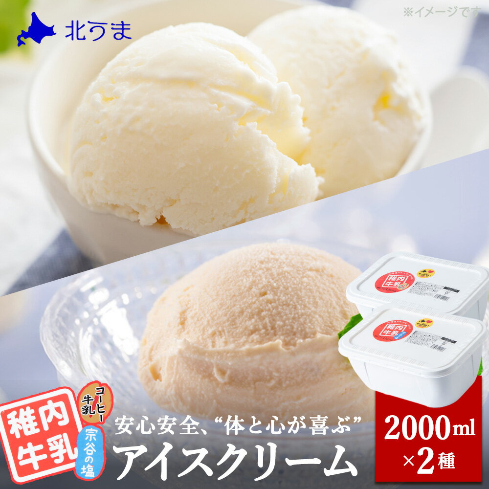 【ふるさと納税】【レビューキャンペーン実施中】【業務用】稚内牛乳アイスクリーム2000ml宗谷の塩×コーヒー牛乳2個セットアイス アイスクリーム スイーツ デザート 氷菓 牛乳 北海道ふるさと納税 稚内 【配送不可地域：離島・沖縄県】