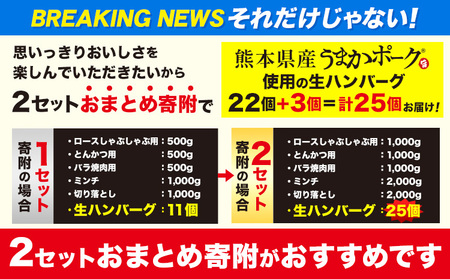 大容量！ 熊本 うまか ポーク 6種 バラエティ セット たっぷり！ 4.5kg 《2月中旬-5月末頃出荷》 しゃぶしゃぶ 小分け 切り 落とし 熊本県産 冷凍 豚肉 ロース バラ モモ ヒレ 450