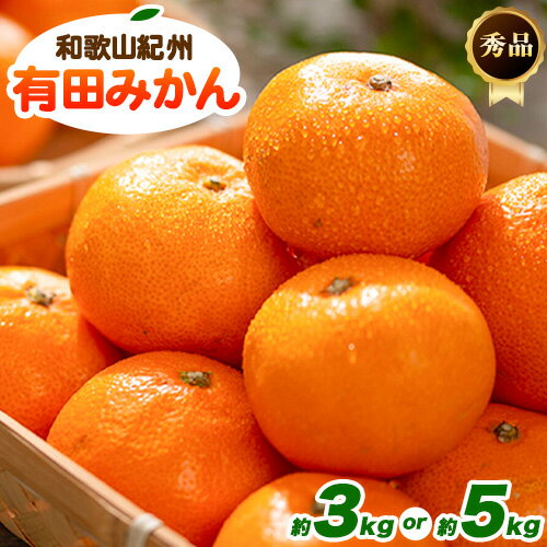 【ふるさと納税】秀品 紀州有田みかん 選べる 約3kg 約5kg (S-Lサイズ混合) 厳選館《2025年11月中旬-1月末頃出荷》和歌山県 日高町 果物 フルーツ ミカン 蜜柑 みかん 送料無料