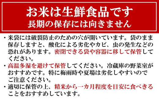 【令和8年産新米・3ヶ月定期便】新之助 白米 6kg（2kg×3袋）×3回（計 18kg）ヤタらうんめぇお米 水田環境鑑定士在籍 しんのすけ[Y0180]