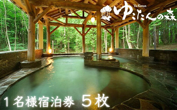 【ふるさと納税】 岩手県 雫石町 南網張ありね温泉 おすすめ ゆこたんの森 1名様 宿泊券 1泊2食 5枚セット ／ 温泉 宿泊 チケット 土日OK 温泉宿 宿 旅館 露天風呂 大自然 森林浴 入浴 湯巡り 岩手山 山麓 絶好のロケーション 旅行 観光 温泉旅行 体験 贅沢 送料無料 連泊OK