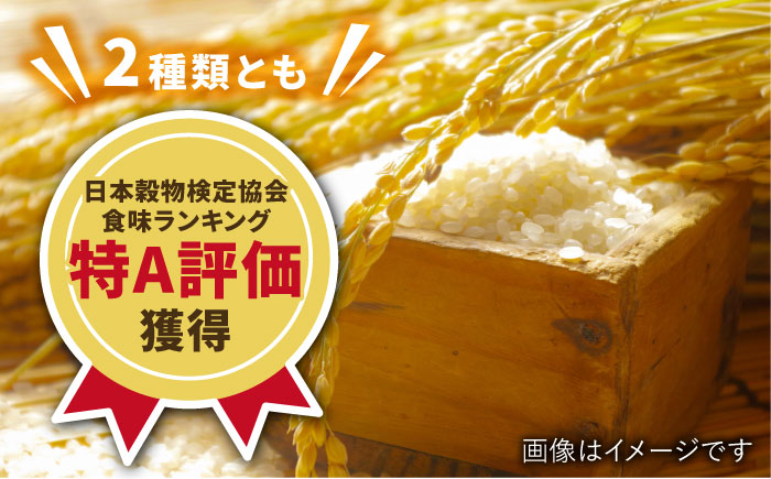 【特A米食べ比べ】令和5年産 佐賀米 食べ比べ 10kg（橘産 さがびより 5kg 若木産 夢しずく 5kg）/肥前糧食株式会社【配送エリア限定】 [UCL006] 白米 お米 精米