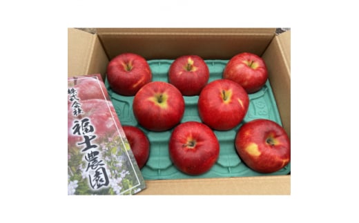 「葉とらずサンジョナ」約3kg・訳あり家庭用りんご【1491235】
