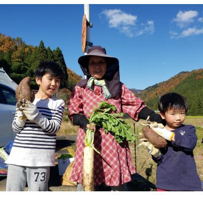 ふるさと納税 南丹市 美山のかやぶき京野菜セット |  | 01