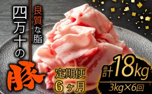 【定期便6回】四万十ポークスライス 計18kg（3kg×6ヶ月連続お届け) 2Oコース | 豚肉 豚バラ肉 小分け 小間切れ スライス 切り落とし 冷凍 真空パック 簡単調理 細切れ 大容量 肉 高知県 須崎市 TM43000