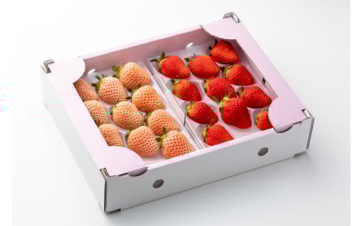 左：淡雪／右：さがほのか