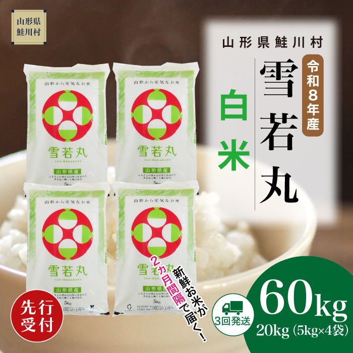 ＜令和8年産米先行受付＞ 山形県産 雪若丸 【白米】60kg定期便(20kg×3回)　配送時期指定できます！