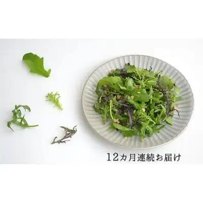 国産 ハーブ 定期便12回 詰め合わせ 約450g 4種 8袋セット × 12ヶ月