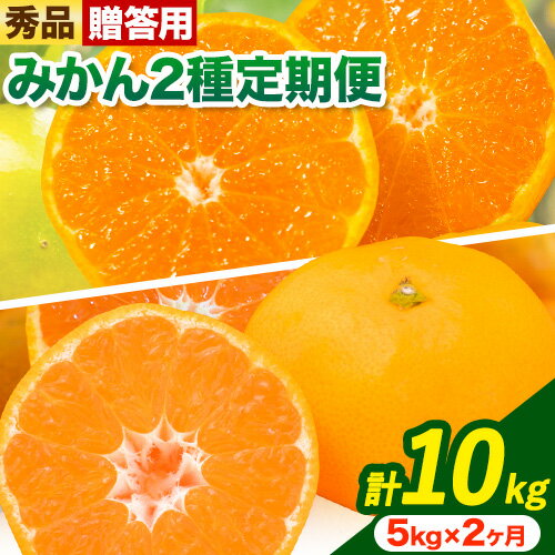 【ふるさと納税】【発送月固定定期便】みかん 好きのためのみかん2種定期便【贈答用】全2回 約 5kg 合計10kg 笑いの里のTommyファーム《10月上旬-12月末頃出荷》和歌山県 日高川町 みかん 定期便 早生 柑橘 フルーツ 果物 ミカン 柑 産地直送 送料無料