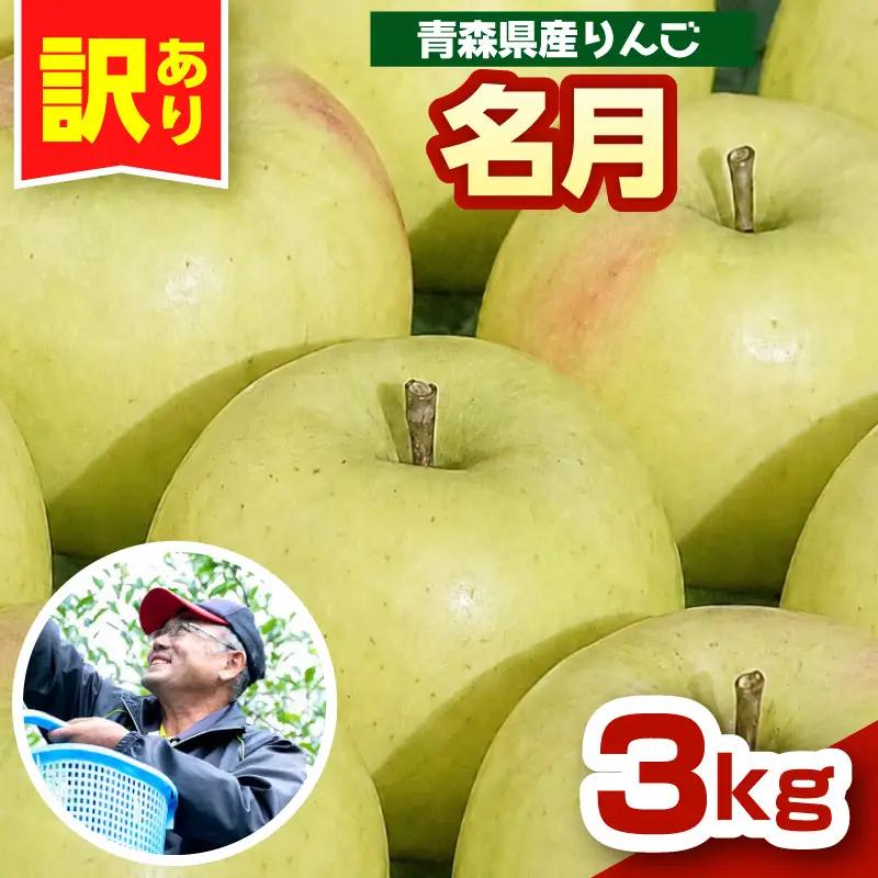 ぐんま名月　【先行受付】 りんご 約3kg訳あり 青森県五所川原市 11月中旬以降発送 ぐんま名月