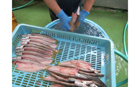 超特ひもの満腹つめあわせ　S90【干物 干物セット 惣菜 魚 ひもの こだわりの干物 干物詰め合わせセット 満腹干物詰め合わせ 大あじ、小あじ  金目鯛大 、大かます 神奈川県 小田原市 干物 干物 