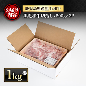 鹿児島県産 黒毛和牛 切落し 計1kg 【さつま屋産業】 牛肉 切り落とし_y427