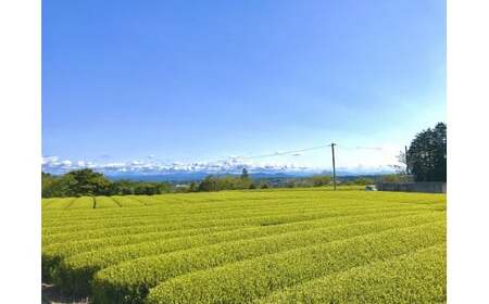 060-8　”ほっ”とする時間を贈る深むし茶100ｇ×3袋