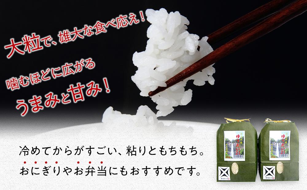 令和7年産 特別栽培米 ゆうだい21　4Kg（2Kgｘ2）｜お米 減農薬 無化学肥料栽培 栃木県 日光市