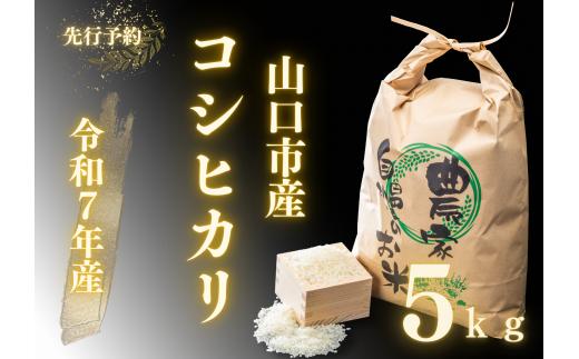 D396 農家直送！山口市産新米「コシヒカリ」精米5kg
