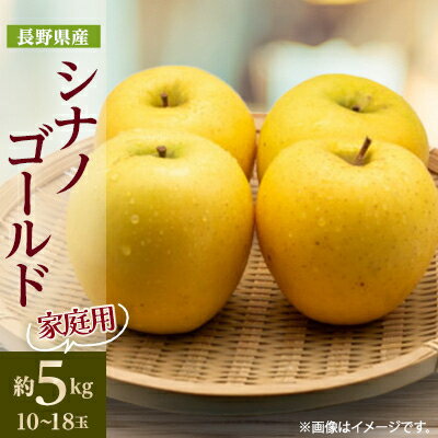 【ふるさと納税】【家庭用】【2025年発送】　長野県産 りんご　シナノゴールド　約5kg(10～18玉程度)_ りんご シナノゴールド 林檎 リンゴ 長野県 しなのゴールド シナノ 果物 くだもの フルーツ デザート 不揃い 傷 家庭用 自宅用 産地直送 送料無料 【1574749】