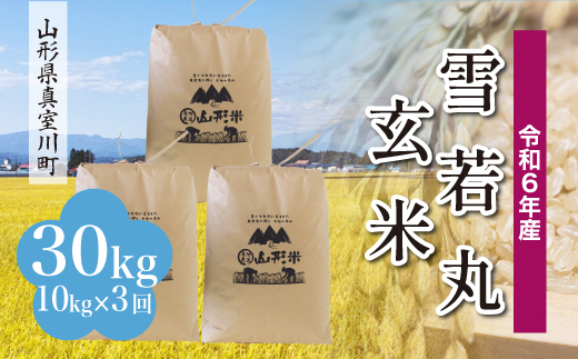 ＜配送時期が選べて便利な定期便＞ 令和6年産 真室川町 雪若丸 ＜玄米＞ 30㎏ 定期便（10kg×3回お届け）