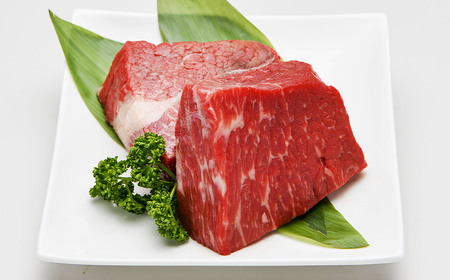 【3回定期便】 赤崎牛 【赤身レンガステーキ】（約600g×3回 合計約1.8kg）【冷蔵】 レンガ ステーキ 肉 ステーキ肉 赤身 定期便 冷蔵