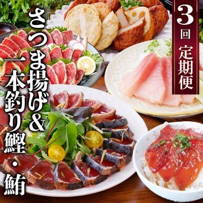 ふるさと納税 枕崎市 定期便(半年で3回)さつま揚げ&amp;鮮度抜群な一本釣りかつお・まぐろ LL-6007