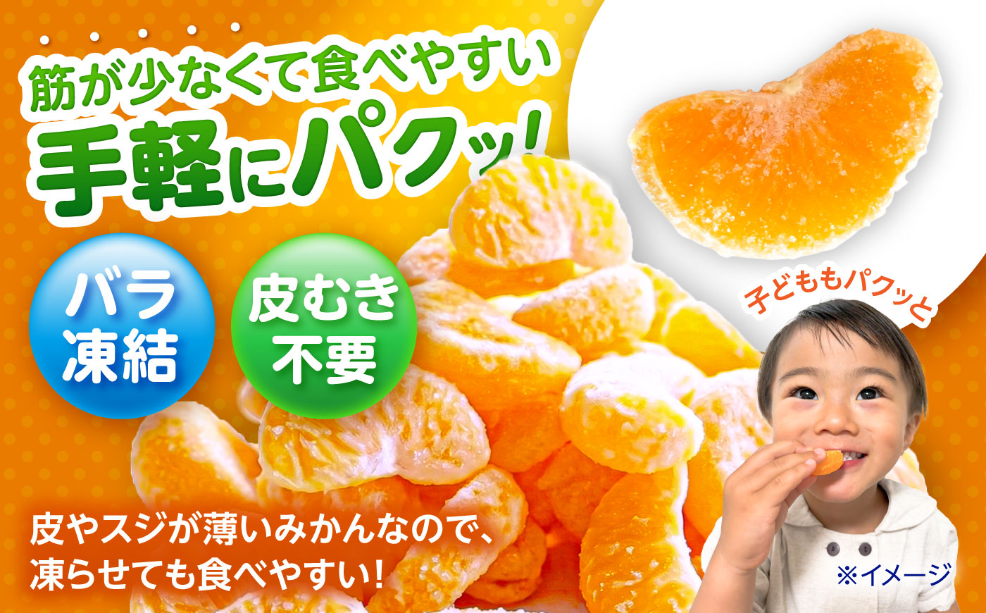 【訳あり】伊木力温州みかんの冷凍みかん 500g×2 / 冷凍ミカン 冷凍みかん レイトウミカン 伊木力温州みかん 伊木力みかん 温州みかん 佐瀬 諫早 多良見 長崎 / 諫早市 / 末永果樹園 [A