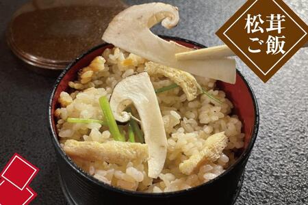 和歌山県産 香り高く希少な国産 松茸 約300g【OKT2】