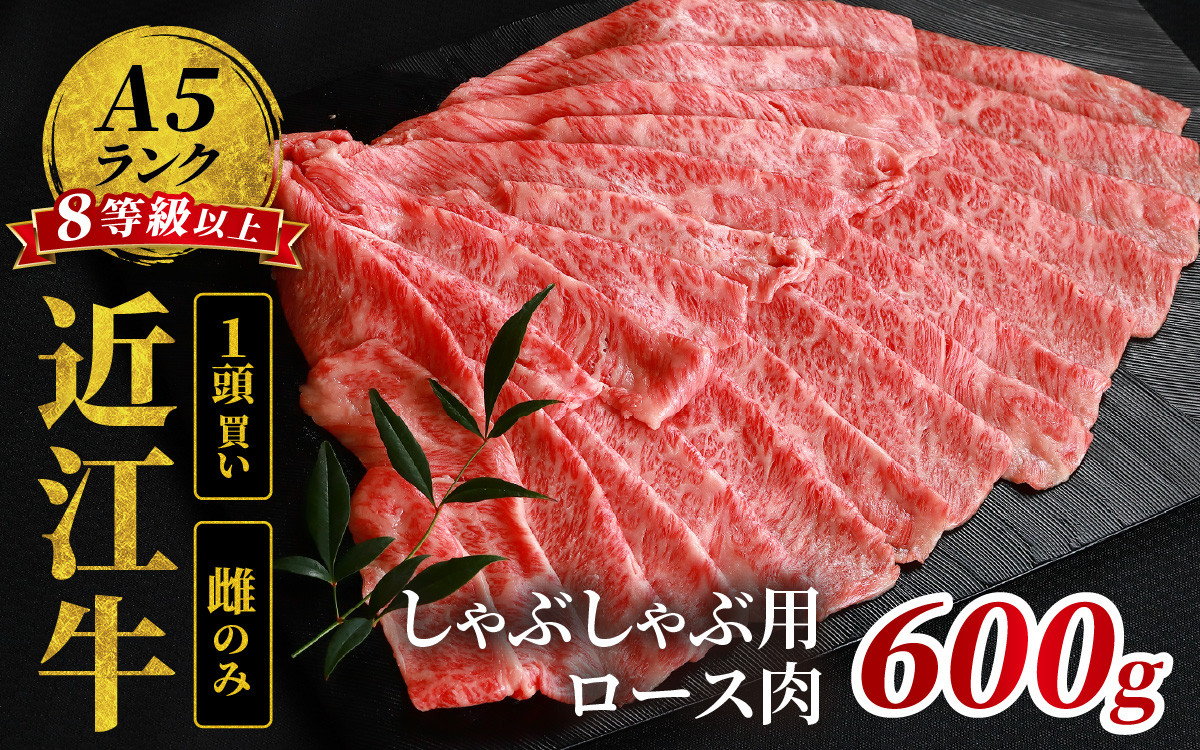 
近江牛「かど萬」しゃぶしゃぶ用ロース肉 約600g
