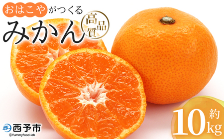 ＜おはこやがつくる 高品質みかん 約10kg（S～Lサイズ）＞ 果物 フルーツ 柑橘 ミカン 蜜柑 特産品 西宇和 愛媛県 西予市【常温】『2025年11月中旬から12月中旬迄に順次出荷予定』MOK0015
