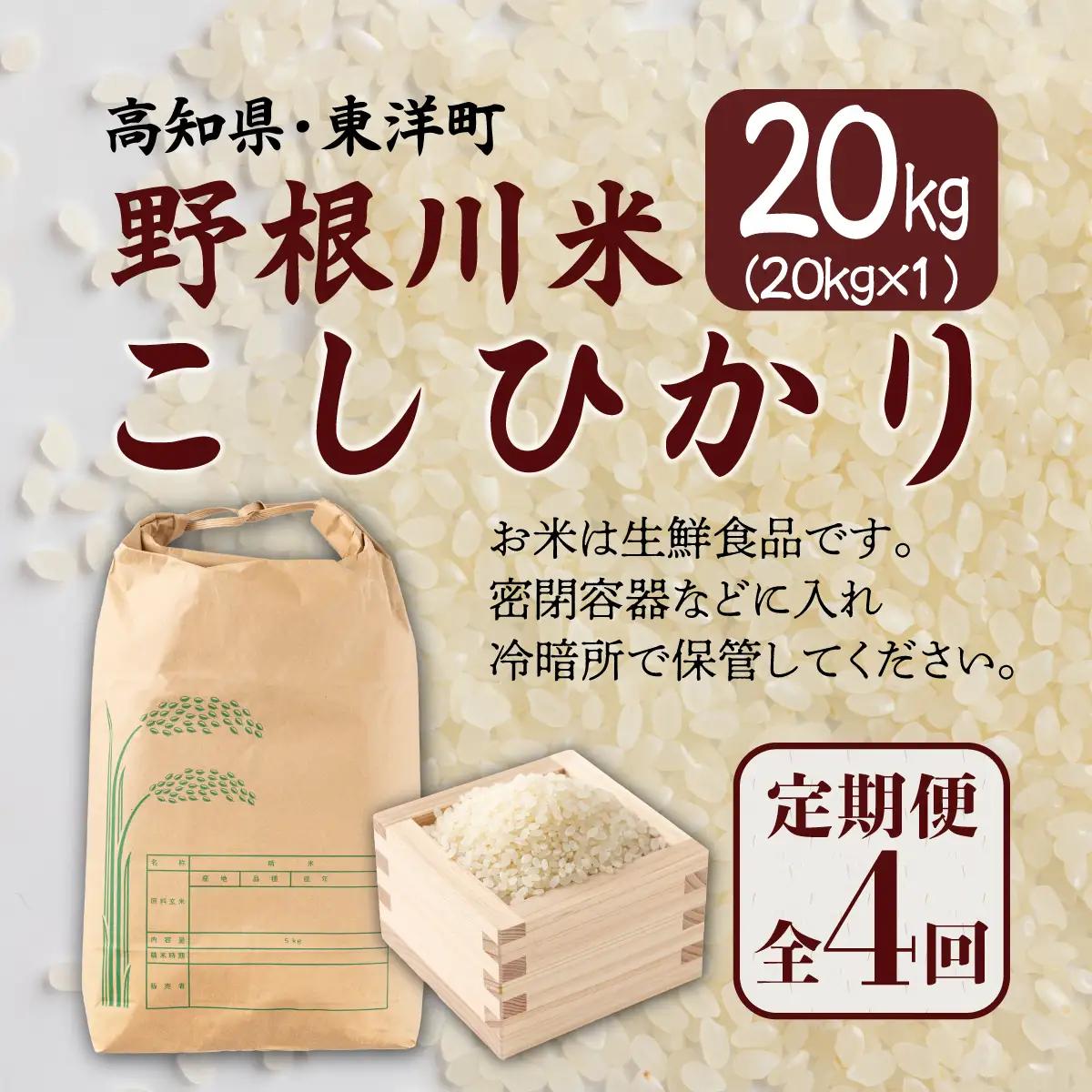 【先行予約】 ＜定期便全4回＞令和8年産 野根川米20kg（20kg×1袋） こしひかり
