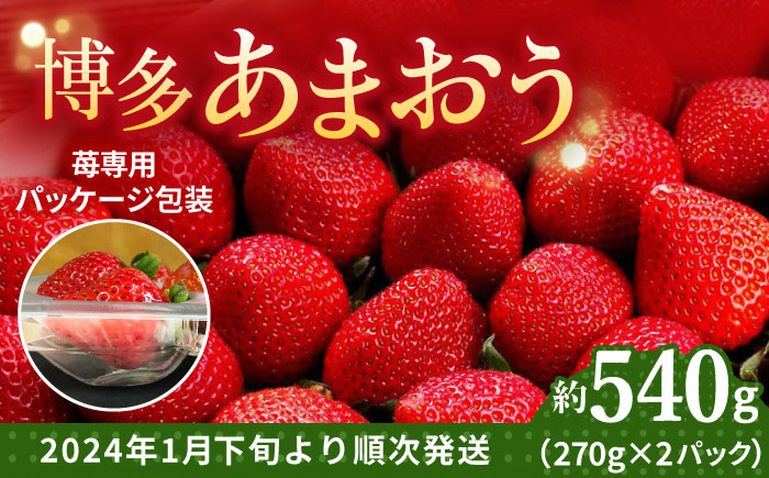 【2025年2月上旬より発送】先行予約！農家直送 朝採り新鮮いちご【博多あまおう】約270g×2＜株式会社H&Futures＞那珂川市 あまおう [GDS003]