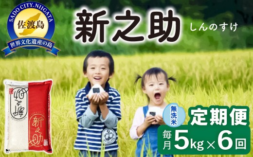 【6か月定期便 新之助】佐渡島産 新之助 無洗米 合計30kg（5kg×毎月お届け全6回）令和8年産 新米 単一原料米 | 新潟県産新之助 新潟産新之助 佐渡産新之助 しんのすけ 新之助 お米 米 無洗米 むせんまい 精米 ブランド米 おこめ コメ 5キロ 世界農業遺産 にいがた さど 新潟県 佐渡市