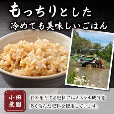 ふるさと納税 東御市 【小田農園】冷めても美味しいコシヒカリ　玄米5kg　|※2025年9月下旬以降、発送開始予定 |  | 01