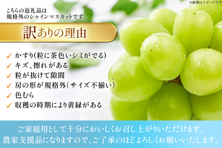 【期間限定発送】 シャインマスカット 訳あり 4房 2.2kg [もん前の里 山形県 高畠町 tk06ays960001] フルーツ 果物 くだもの ぶどう ブドウ 葡萄 2.2キロ 甘い