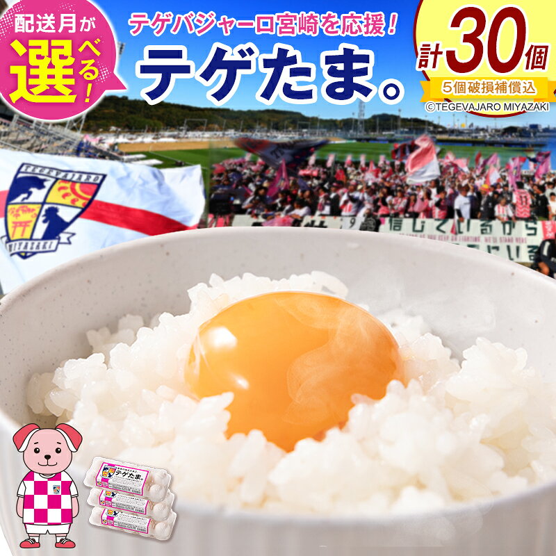 【ふるさと納税】＜選べる配送月＞テゲたま。 卵 計30個入り 1箱 たまご 国産 テゲバジャーロ宮崎
