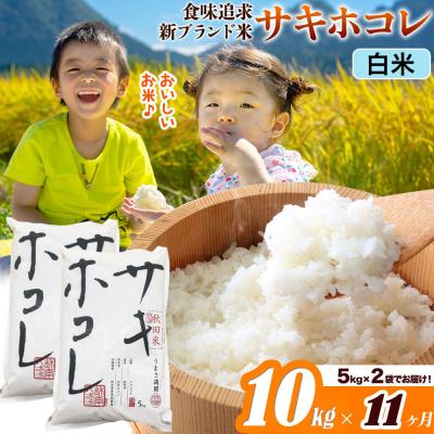 ふるさと納税 大仙市 米《11ヶ月》サキホコレ【白米】令和7年産 10kg|22_ssn-051011h_sf