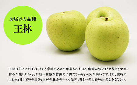 【レビューキャンペーン】【5～６月発送】青森県産 特選 甚八りんご 王林 5kg クール便【マルジンサンアップル】青森 青森県産 平川 りんご リンゴ 林檎 くだもの 果物 フルーツ【hi-0058-