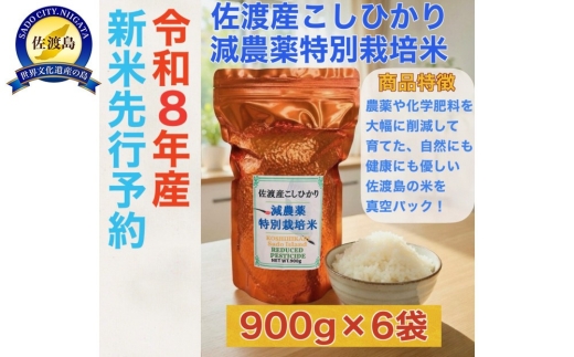【令和8年産新米】佐渡島産コシヒカリ 特別栽培米 真空パック900g×6袋 計5.4kg 単一原料米 | 新潟県産コシヒカリ 新潟産コシヒカリ 佐渡産コシヒカリ 新潟県産こしひかり 佐渡産こしひかり トキ 朱鷺 お米 米 こしひかり 白米 精米 真空パック 小分け ギフト にいがた さど 新潟県 佐渡市