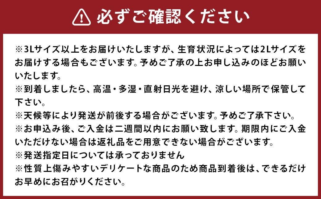 【訳あり】 太陽と潮風を浴びて育った 長崎県時津町産 温州みかん 約10kg 