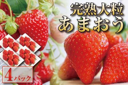 【2026年1月～3月出荷予定】完熟 大粒 あまおう イチゴ 280g×4パック(約1120g)＜配送不可：北海道、沖縄県、離島＞