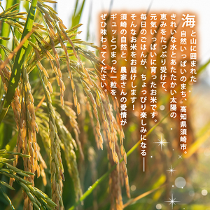 新米コシヒカリ 3kg 令和7年 高知県産