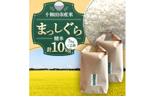 ＜令和7年産＞十和田市産米「まっしぐら」精米 10kg(5kg2袋)【1694679】