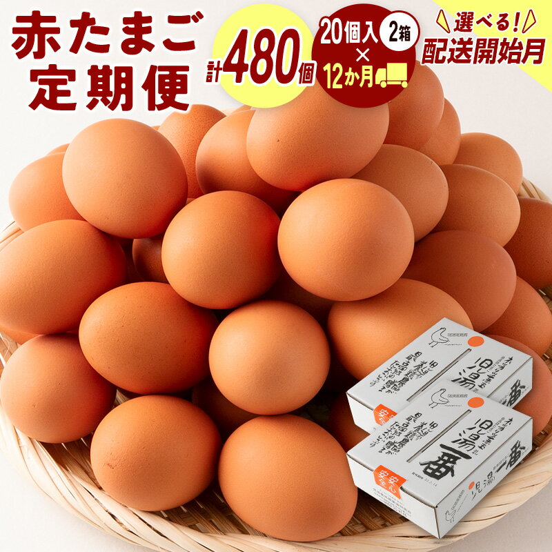 児湯養鶏自慢の卵 計480個（40個×12回） 12ヶ月定期便