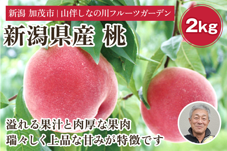 
                  【2026年先行予約】新潟県産 桃 約2kg（約6～8個）フルーツギフト《7月中旬～お届け》夏の味覚 産地直送 加茂市 山伴しなの川フルーツガーデン
                